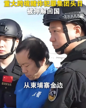 陈志被押解回国，哥哥是同谋，他的妻子、父母也应被追责